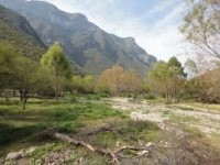 /album/visita-nuevo-leon/images-12-jpg1/